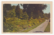 Rose Garden, Niagara Falls, Ontario, Canada - Vintage Original Postcard # 2396 - New - 1960's - NM