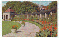 Oakes Garden Theatre, Niagara Falls, Ontario, Canada - Vintage Original Postcard # 2400 - New - 1960's