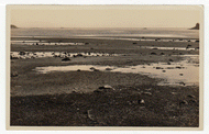 Ocean Shores View (Unknown) Vintage Original Postcard # 2418 - New - 1940's NM
