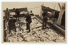 Load image into Gallery viewer, Fishing Boat with a Great Catch (Unknown) Vintage Original Postcard # 2419 - New - 1940's NM
