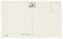 Load image into Gallery viewer, Feast of the Gulls, USA Vintage Original Postcard # 2445 - New - 1970's - Mint
