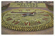 Floral Clock, Portland Zoological Gardens, Oregon, USA Vintage Original Postcard # 2455 - New 1970's