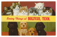 Seeing Things at Bolivar, Tennessee, USA Vintage Original Postcard # 2471 - New - 1960's