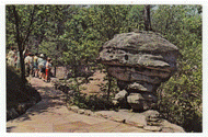 Mushroom Rock, Rock City Gardens, Chattanooga, Tennessee, USA Vintage Original Postcard # 2479 - New - 1970's