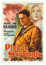 Load image into Gallery viewer, Piel de Serpiente - The Fugitive Kind - Movie Vintage Original Postcard # 2563 - New, 1990's
