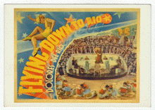 Load image into Gallery viewer, Flying Down to Rio - Movie Vintage Original Postcard # 2589 - New, 1990's
