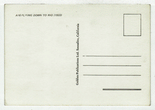 Load image into Gallery viewer, Flying Down to Rio - Movie Vintage Original Postcard # 2589 - New, 1990's
