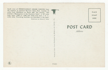 Load image into Gallery viewer, Leonard Harrison State Park, Pennsylvania, USA Vintage Original Postcard # 2602 - New 1960's
