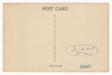 Load image into Gallery viewer, Grand Rapids Museum - White-Tailed Deer, Michigan, USA Vintage Original Postcard # 2605 - New 1950's
