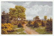 Load image into Gallery viewer, Harlow Moor, Harrogate, England - Scenic View - Vintage Original Postcard # 2607 - New 1960's
