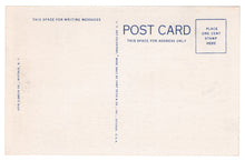 Load image into Gallery viewer, Hotel Statler &amp; NY State Office Building, Buffalo, New York, USA Vintage Original Postcard # 1059 - New - 1950's
