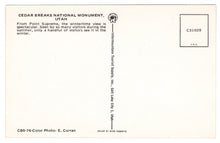 Load image into Gallery viewer, Cedar Breaks National Monument, Utah, USA Vintage Original Postcard # 1067 - New - 1970's
