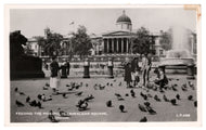 Trafalgar Square (Feeding The Pigeons), London, England Vintage Original Postcard # 1101 - New - Real Photograph - 1940's