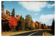 A Pleasing Drive - USA Vintage Original Postcard # 1147 - Post Marked October 17, 1955