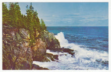 Load image into Gallery viewer, Otter Cliff, Bar Harbor, Maine, USA Vintage Original Postcard # 1163 - New -1960's

