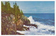 Otter Cliff, Bar Harbor, Maine, USA Vintage Original Postcard # 1963 - New -1960's