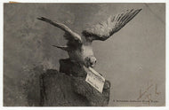 Pigeon - E. Novoselski Royan, Art - Painting Vintage Original Postcard # 1164 - Post Marked 1920's