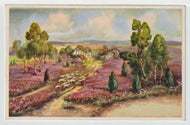 Scenic Farm-House, Vintage Original Postcard # 1169 - Post Marked 1960's