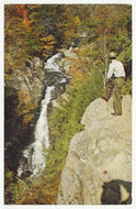 Whiteoak Falls, Shenandoah National Park, Virginia, USA Vintage Original Postcard # 1184 - Post Marked 1981