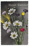 Congratulations - Hartelijk Gefeliciteerd Vintage Original Postcard # 1195 - Post Marked 1967