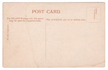 Load image into Gallery viewer, St. Paul's Cathedral - Reredos, London, England Vintage Original Postcard # 1208 - New - 1910's
