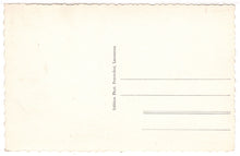 Load image into Gallery viewer, Le Chateau, Nyon, Switzerland - Vintage Original Postcard # 1361 - New - 1950's
