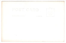 Load image into Gallery viewer, Oriental Tea Garden, Golden Gate Park, San Francisco, USA - Vintage Original Postcard # 1384 - New - 1940's
