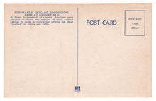 Load image into Gallery viewer, Elephants - Chicago Zoological Park, Brookfield, Illinois, USA Vintage Original Postcard # 1447 - New - 1960's VG
