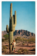 Load image into Gallery viewer, Giant Saguaro Cactus, USA Vintage Original Postcard # 1452 - New - 1970's VG
