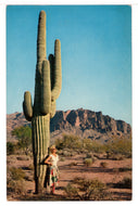 Giant Saguaro Cactus, USA Vintage Original Postcard # 1452 - New - 1970's VG