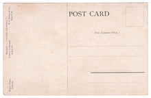 Load image into Gallery viewer, Mastiff - Colonel Cromwell - Dog - Vintage Original Postcard # 1453 - New - 1960's VG
