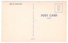 Load image into Gallery viewer, Deer in Northland, Mellen, Wisconsin, USA - Vintage Original Postcard # 1461 - New - 1960's VG
