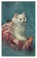 Cute Kitten in Basket - Vintage Original Postcard # 1467 - New - 1960's VG