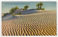 A Typical Desert Washboard - Ole Southwest, USA Vintage Original Postcard # 1483 - New - 1960's VG