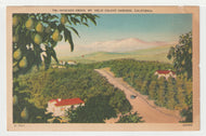 Avocado Grove, Mt. Helix Calavo Gardens, California, USA Vintage Original Postcard # 1487 - New - 1950's G
