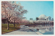 Jefferson Memorial, Washington, D.C. USA Vintage Original Postcard # 1501 - New - 1960's NM