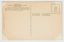 Load image into Gallery viewer, Carlsbad Caverns National Park, New Mexico, USA (Lunch Room) Vintage Original Postcard # 1536 - New - 1960's
