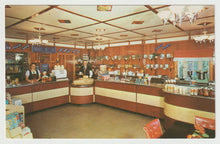 Load image into Gallery viewer, Alpine-Alpa Cheese Chalet Store, Wilmot, Ohio, USA - Vintage Original Postcard # 1555 - New - 1960's
