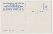 Load image into Gallery viewer, Alpine-Alpa Cheese Chalet Store, Wilmot, Ohio, USA - Vintage Original Postcard # 1555 - New - 1960's
