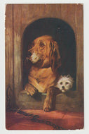 Dignity and Impudence by Sir Edwin Henry Landseer! Art - Painting - Vintage Original Postcard # 1569 - Post Marked June 26, 1911