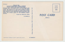 Load image into Gallery viewer, Death Valley, California, USA - Vintage Original Postcard # 1580 - New - 1960's

