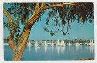 Newport Bay, California, USA - Regatta Day - Vintage Original Postcard # 1581 - New - 1960's