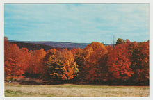 Load image into Gallery viewer, Fall Foliage, Vermont, USA - Vintage Original Postcard # 1583 - New - 1970's
