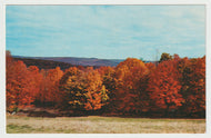 Fall Foliage, Vermont, USA - Vintage Original Postcard # 1583 - New - 1970's