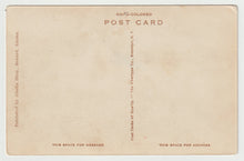 Load image into Gallery viewer, Spencer Glacier, Alaska, USA Vintage Original Postcard # 1609 - New - 1940's
