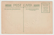 Load image into Gallery viewer, A Happy Birthday Vintage Original Postcard # 1611 - New - Early 1900's
