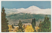 Load image into Gallery viewer, Mount Shasta, Sierra Nevada, California, USA Vintage Original Postcard # 1636 - New 1970's

