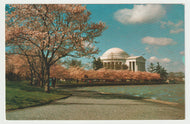 Jefferson Memorial, Washington, D.C. USA (Cherry Blossom Festival) Vintage Original Postcard # 1641 - New - 1960's