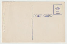 Load image into Gallery viewer, Cotton Stalk Loaded with Cotton, USA Vintage Original Postcard # 1655 - New - 1950's
