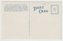 Load image into Gallery viewer, Natural Bridge Hotel, Natural Bridge, Virginia, USA Vintage Original Postcard # 1660 - New 1950's
